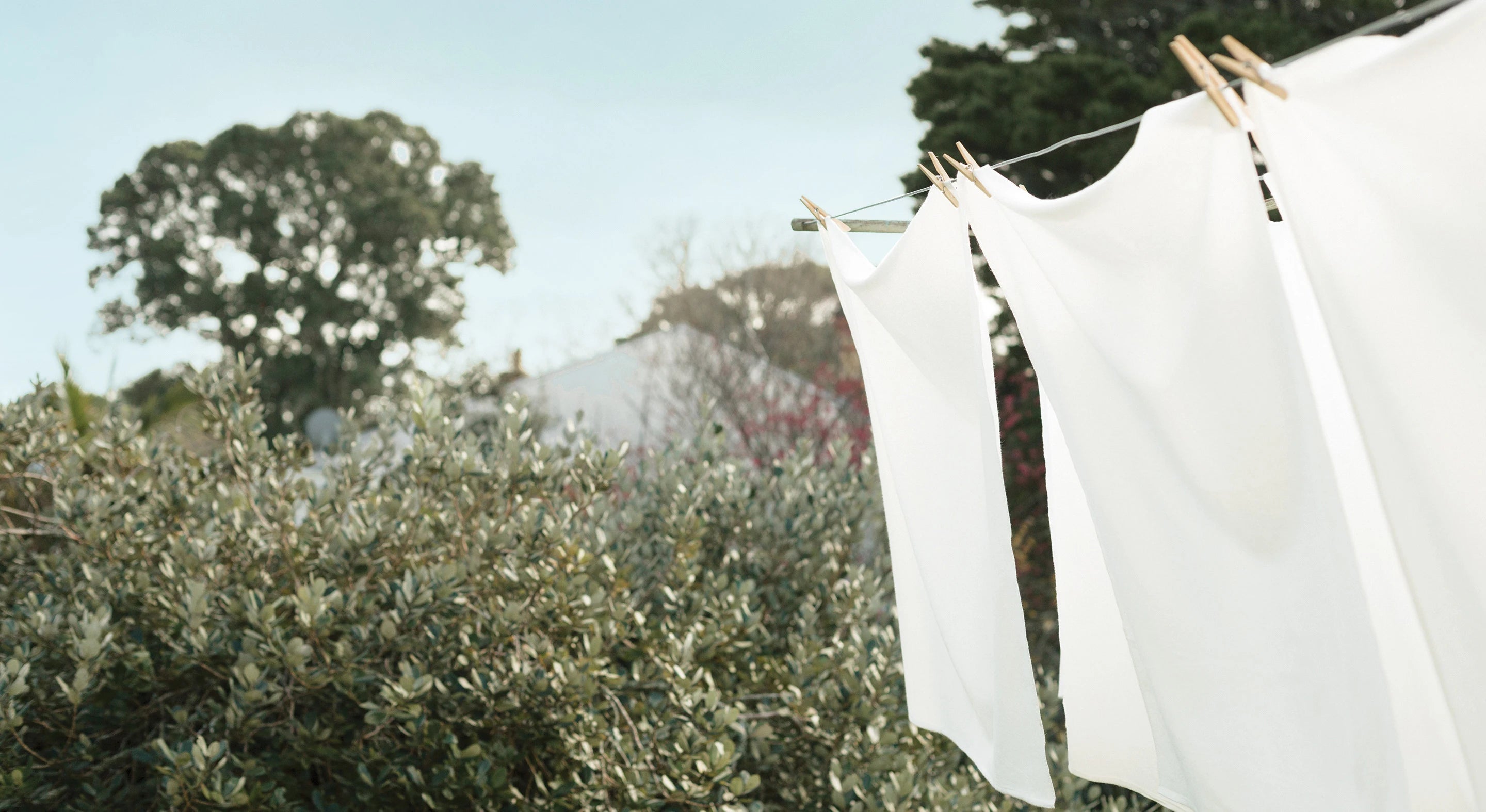Laundry-Header-Desktop_1_1-Nature Baby