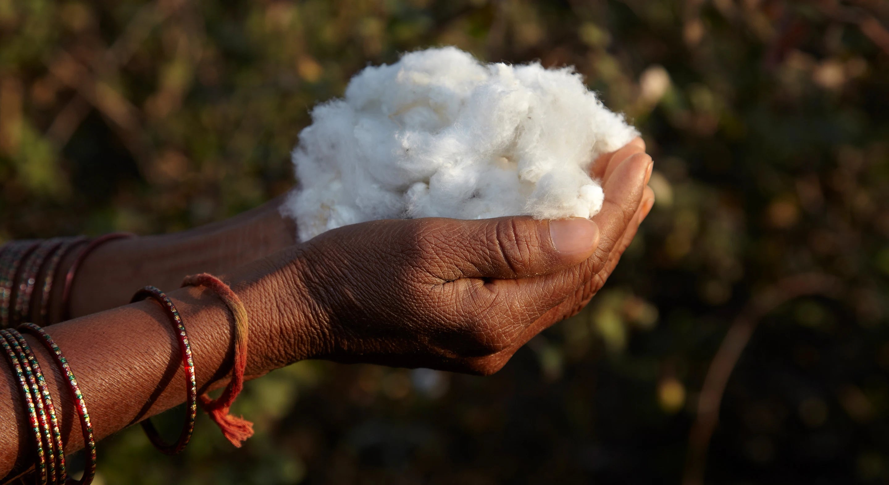 Organic-Cotton-Header-Image-Desktop-Nature Baby