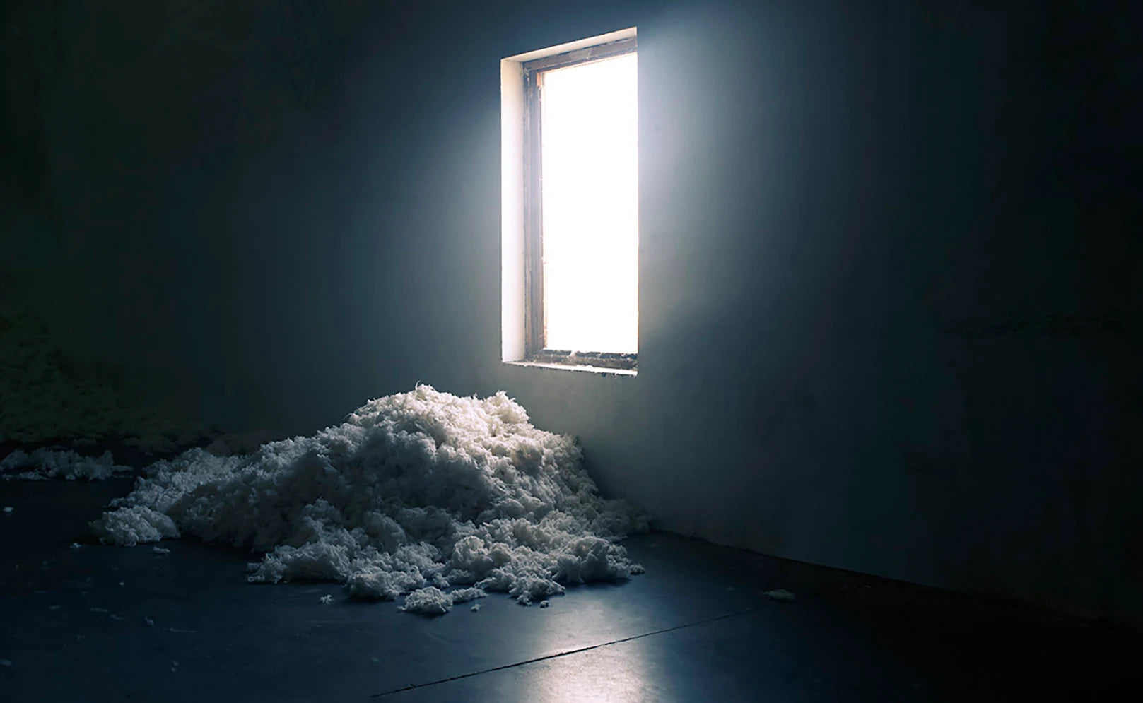 Organic_Cotton_Desktop-Nature Baby
