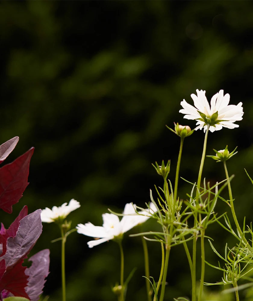 Sustainability_LandingPage_WebAssets_Mobile_840x1000px_NEWBANNER-Nature Baby