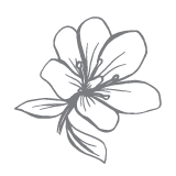 Values_Graphics-01-Nature Baby