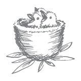 Values_Graphics-02-Nature Baby