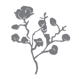 Values_Graphics-03-Nature Baby